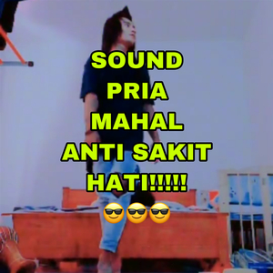 Pria Mahal Anti Sakit Hati Funkot Original Jedag Jedug Fullbasa