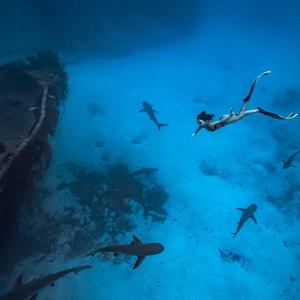 弗兰格尔海底(prod moonvibe）