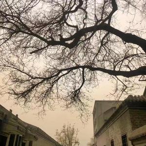 爱这人间烟火恰好的秋天
