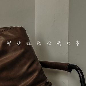 那些你教会我的事