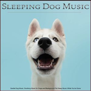 Music for Dogs