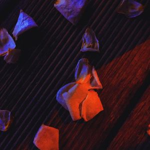 Classy（白玫瑰）