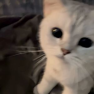 我珍惜你的方式错了吗