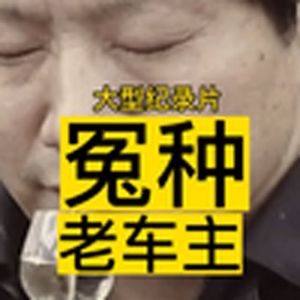 大型纪录片《冤种老车主》