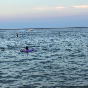 櫻花（Cover 茶季楊）