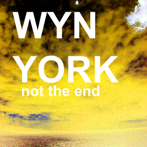 not the end (Radio Edit)