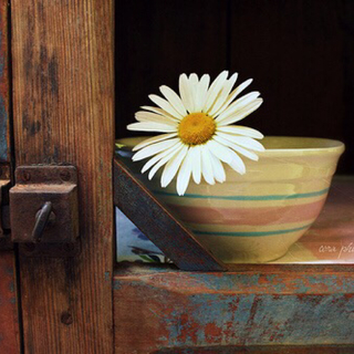 「人间至味是清欢」