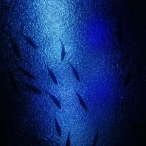 逃离（Prod.Gr33nart Beats)