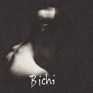 Bichi (monólogo)