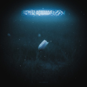 Henüz Açmamış Çiçek