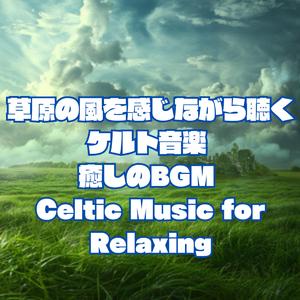 森と空の境界線