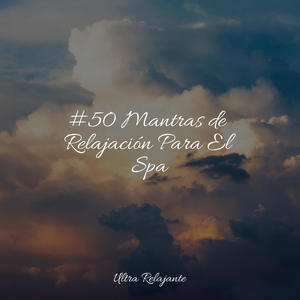 Majestuosa Cima De La Montaña