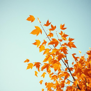 秋空のメロディ