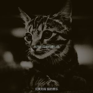 微妙的放松的猫心情