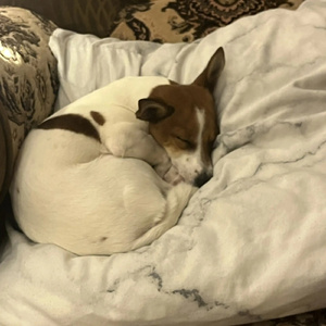 удали мой номер