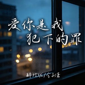 爱你是我犯下的罪