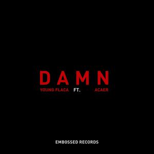 DAMN (feat. Acaer)