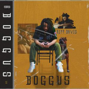 BOGGUS