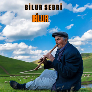 Bilur