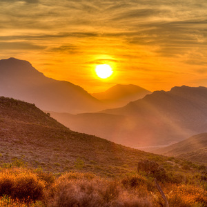 put your trust in me