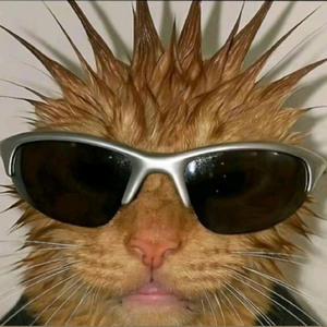 Damn ts lit at the club fr