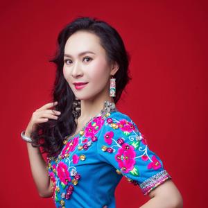 我在双柏等你来（董静林）