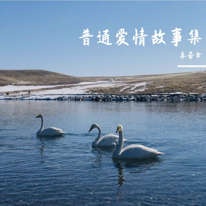 一个普通的爱情故事