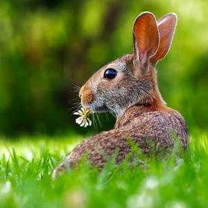 New Turf (feat. Puray)