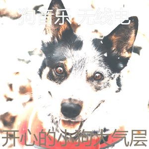 温和幼犬梦想