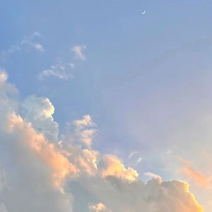 โต๊ะริม (Melt)