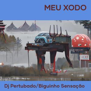 Meu Xodo