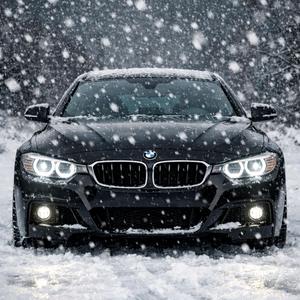 Соловьиная трель