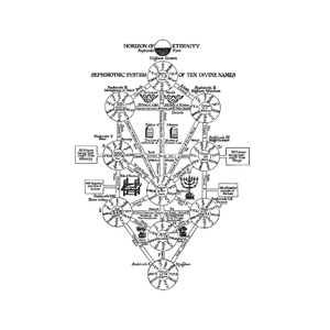 可它爱着这个世界（Cover周深）（翻自 周深）