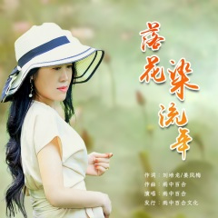 落花染流年