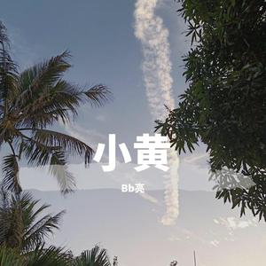 小黄