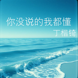 你没说的我都懂