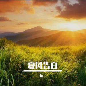 夏风告白