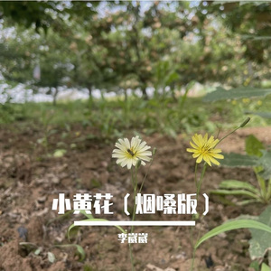 小黄花（烟嗓版）