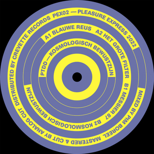 Kosmologisch Bewustzijn