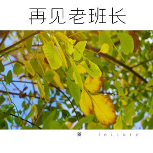 再见老班长