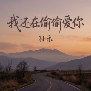 我还在偷偷爱你