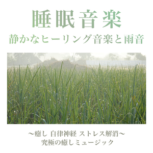 カフェで聞き流したい、勉強がはかどる作業用BGM (雨)