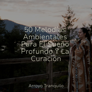 Momentos Tranquilos En El Río