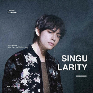 Singularity（翻自 V）