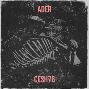Ader
