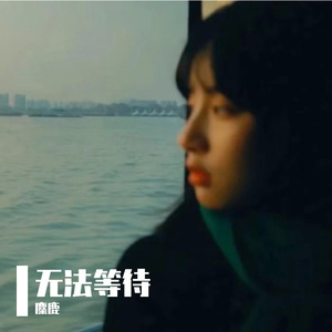 无法等待