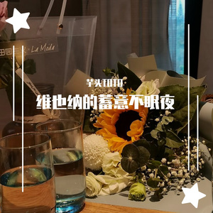 维也纳的蓄意不眠夜