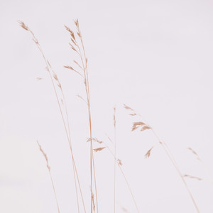 系我一生心，负你千行泪