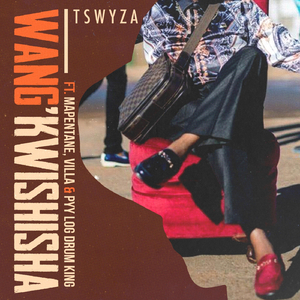 Wang'kwishisha (feat. Villa, Mapentane & Pyy Logdrum King)