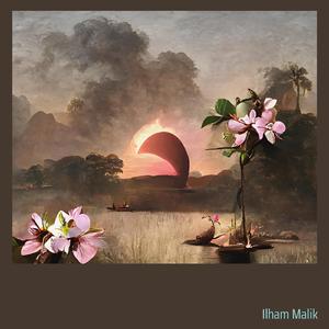 Wires Tangled In The Night